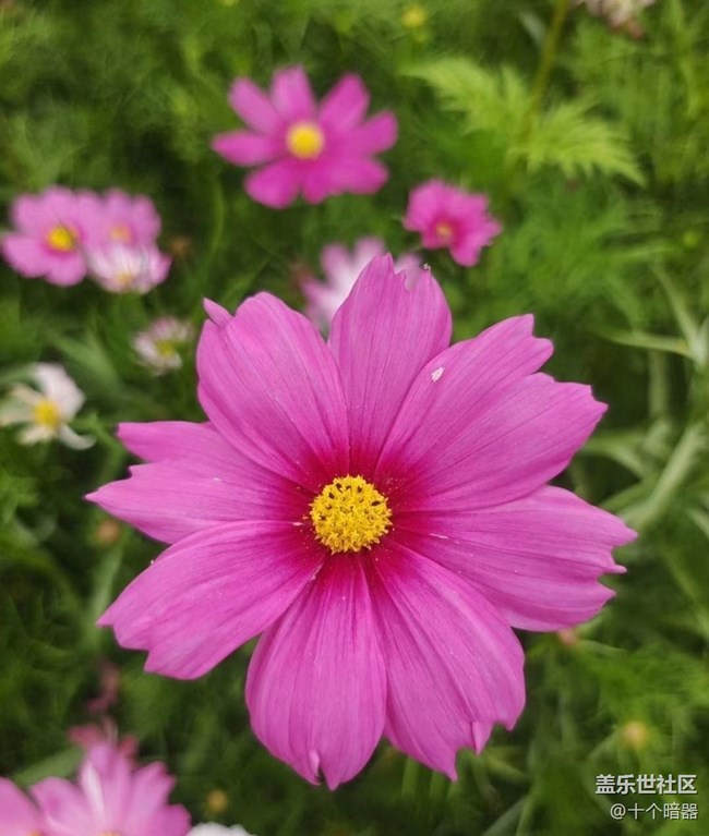 【中秋限定】美景