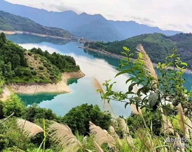 【金色秋天】水庫(kù)