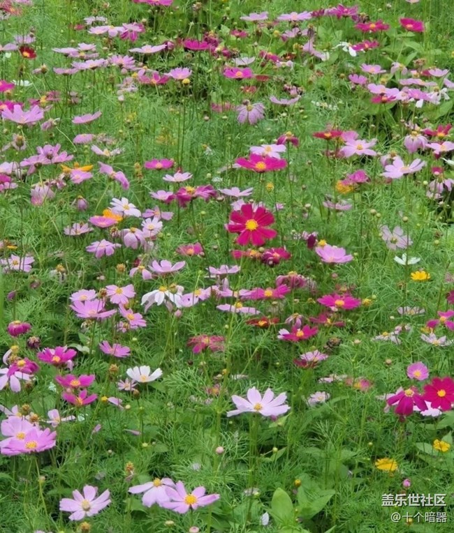 【中秋限定】美景