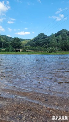 這個夏天
