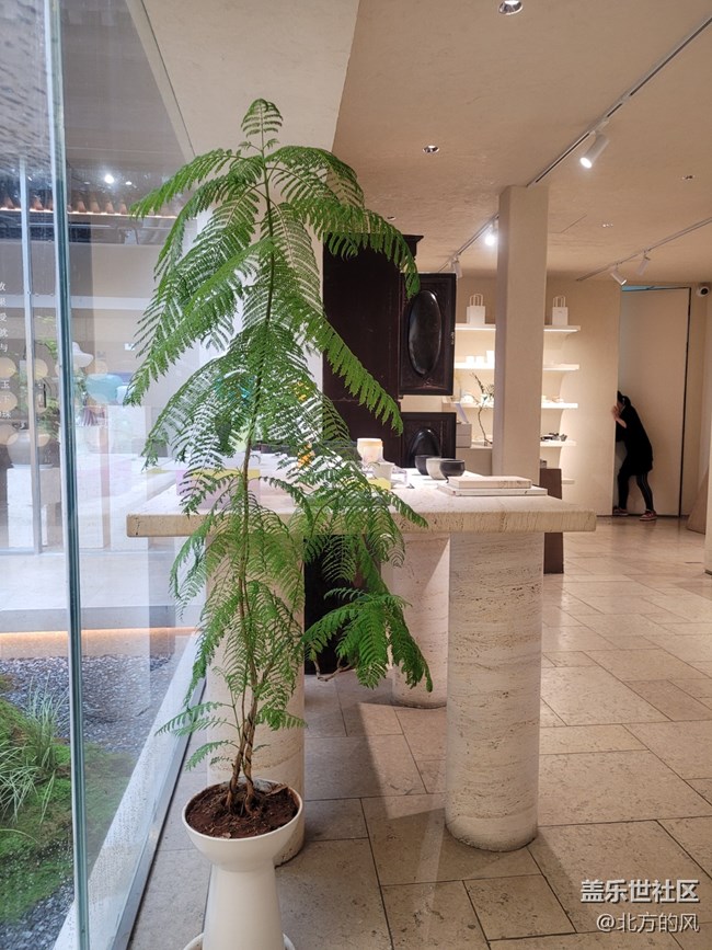 【 影像映團(tuán)圓】+ 團(tuán)團(tuán)圓圓花來賀