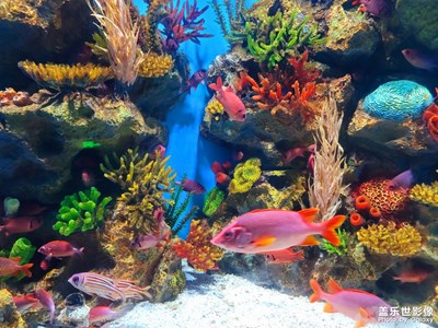 【生活的色調(diào)】大海的顏色