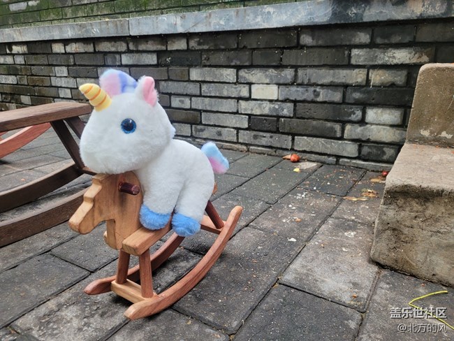 【 影像映團(tuán)圓】+ 團(tuán)團(tuán)圓圓花來賀