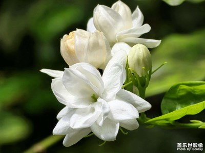 【生活的色調(diào)】初秋色彩