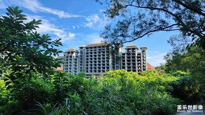 【生活的色調(diào)】+海島探險