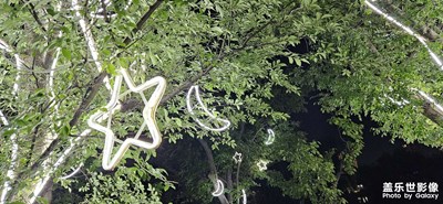 【生活的色調(diào)】+公園隨拍