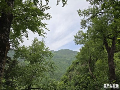 【生活的色調(diào)】+自然風(fēng)景