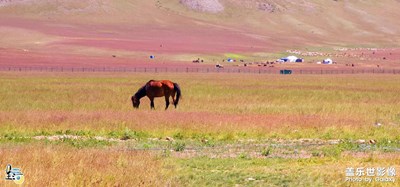 【生活的色調(diào)】風光無限在新疆