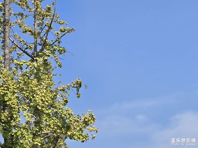 【生活的色調(diào)】+當(dāng)下美景