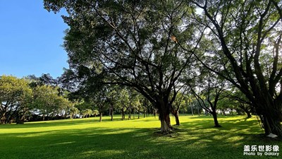 非常適合露營和團建的地方