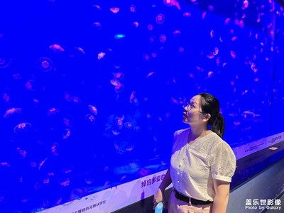 【中秋故事】+鄭州海昌海洋館