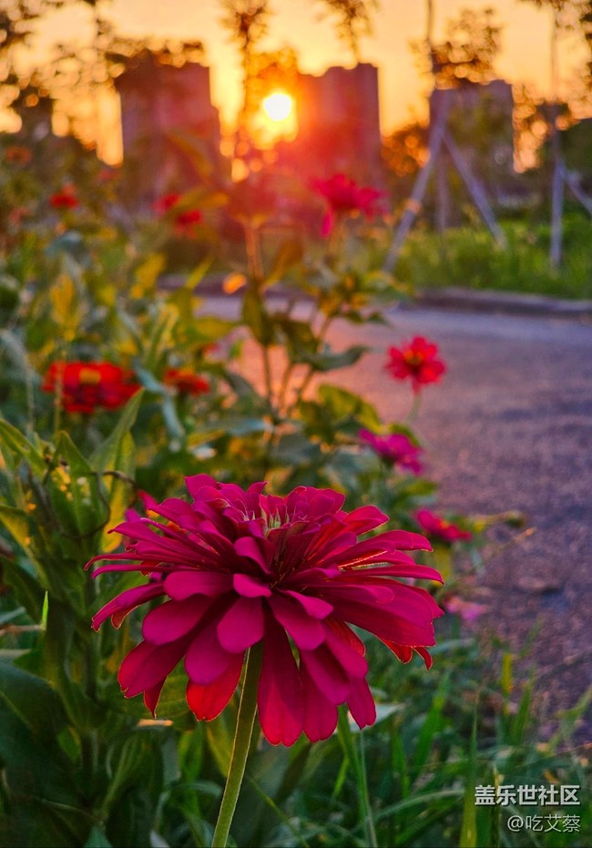 已開獎【Note版半月談第六期】一起來打卡秋天 已開獎【Note版半月談第六期】一起來打卡秋天