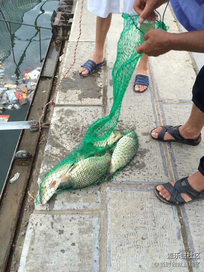 太殘忍了，不帶這么釣的~