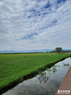 【中秋故事】+天空與草地