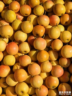 【中秋故事】+在東北的市場里發(fā)現(xiàn)快樂