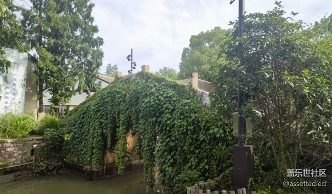 【金色秋天】戶外