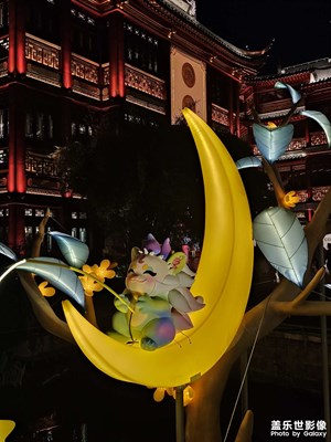 ??冬去春來似水如煙 一年中秋在眼前??