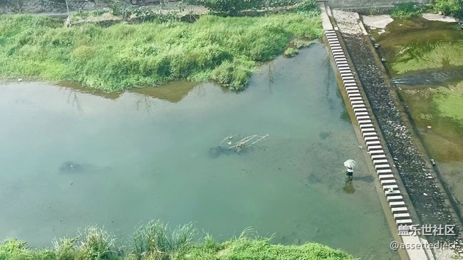 【Galaxy影像】第一期+搬遷