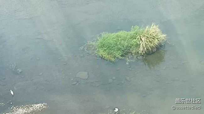 【Galaxy影像】第一期+搬遷