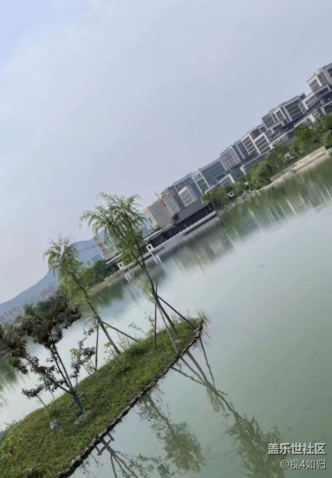 【金色秋天】公園