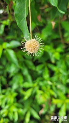 【金九銀十迎雙節(jié)】登山