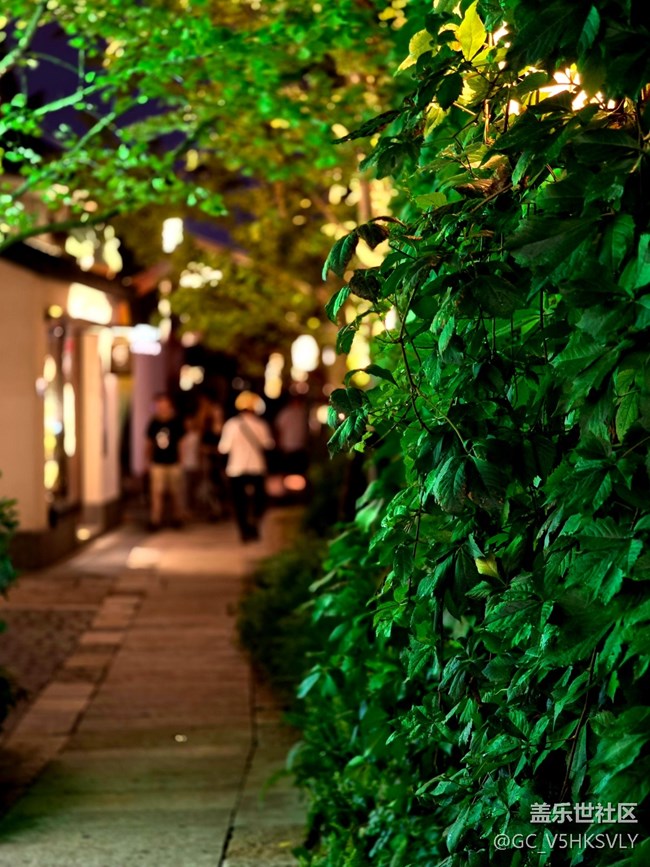 【蟠龍?zhí)斓刂星锞€下攝影活動】+從白天到黑夜