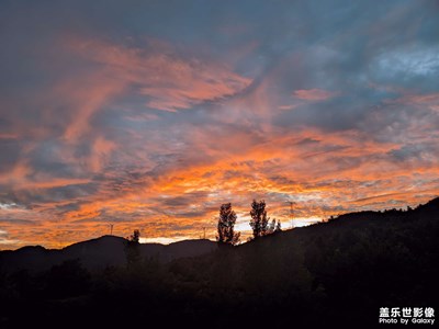 我抓不住這世間的美好，只能裝作萬事順遂的模樣。