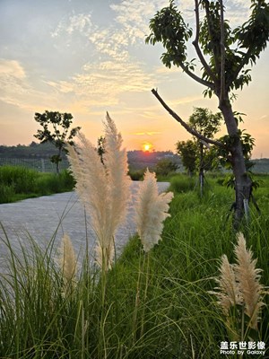 【中秋故事】+河邊小拍