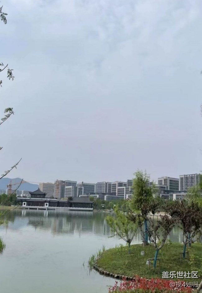 【金色秋天】公園