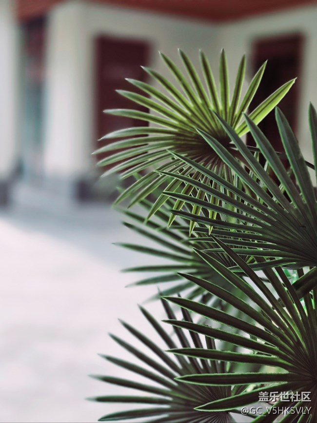 【蟠龍?zhí)斓刂星锞€下攝影活動】+從白天到黑夜