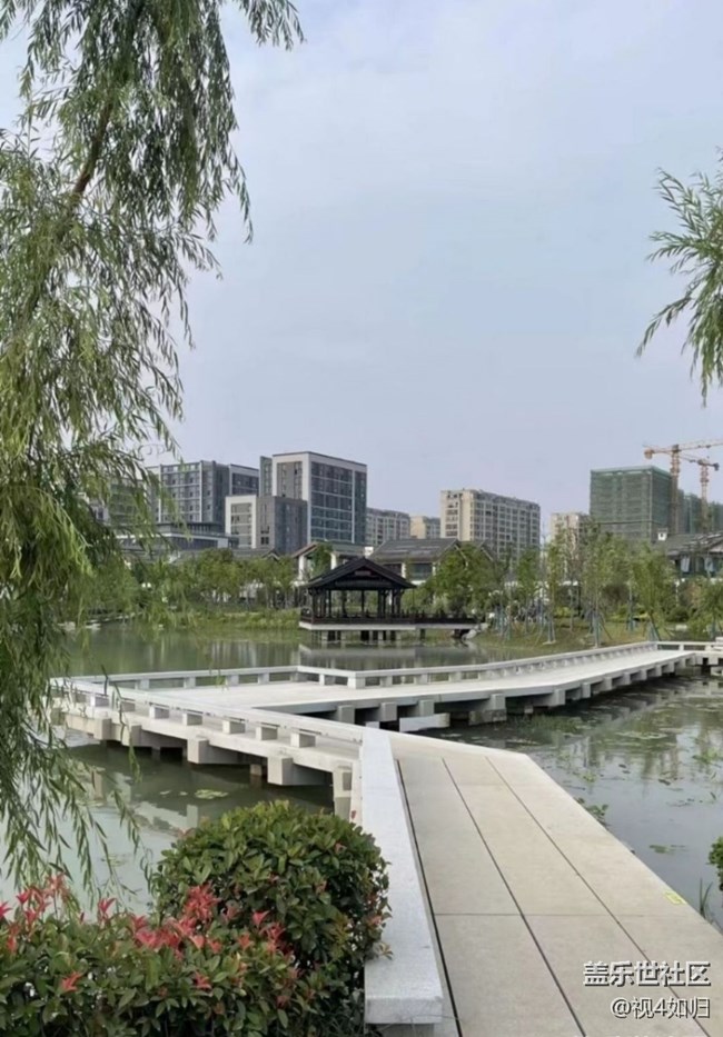 【金色秋天】公園