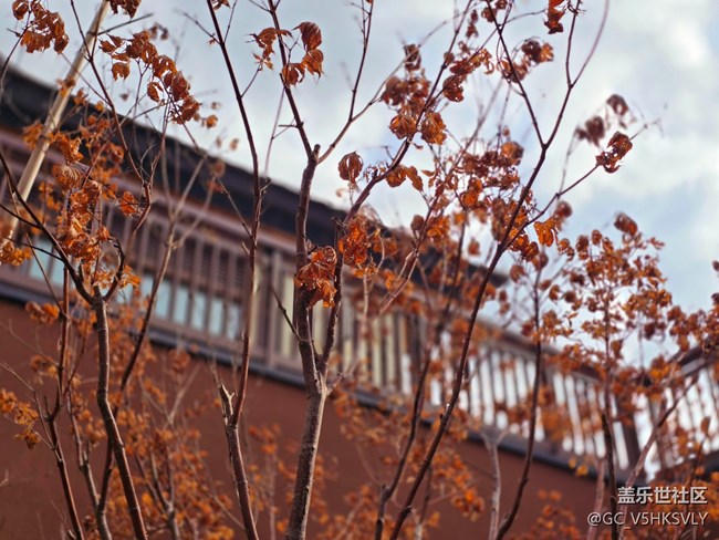 【蟠龍?zhí)斓刂星锞€下攝影活動】+從白天到黑夜