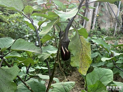 【金九銀十迎雙節(jié)】回老家嘍