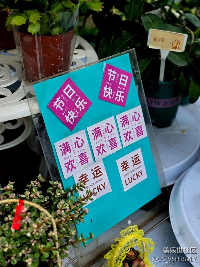 【蟠龍?zhí)斓刂星锞€下攝影活動】+從白天到黑夜