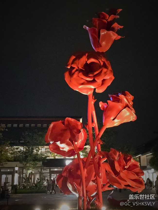 【蟠龍?zhí)斓刂星锞€下攝影活動】+從白天到黑夜