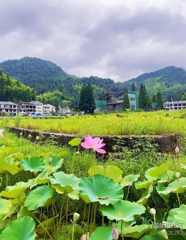 【Galaxy影像】第一期+荷末