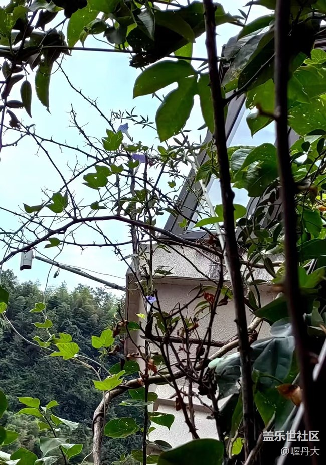 【Galaxy影像】第一期+牽?；? title=