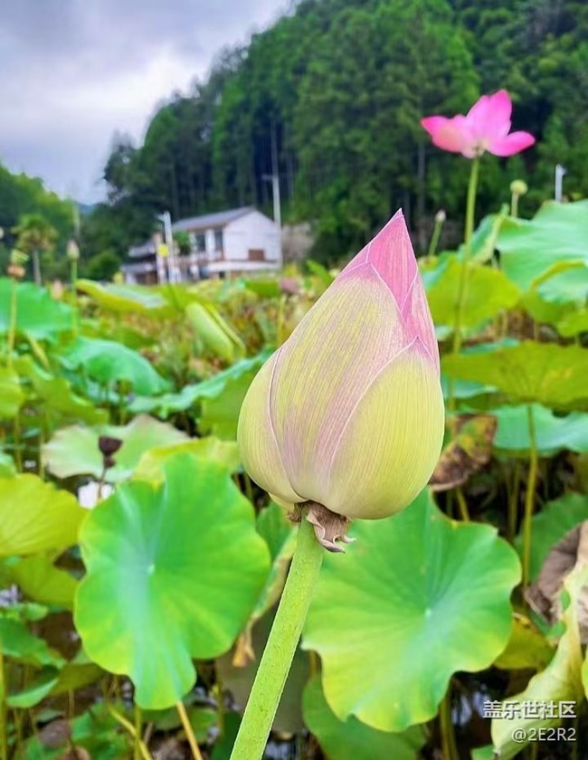 【Galaxy影像】第一期+荷末
