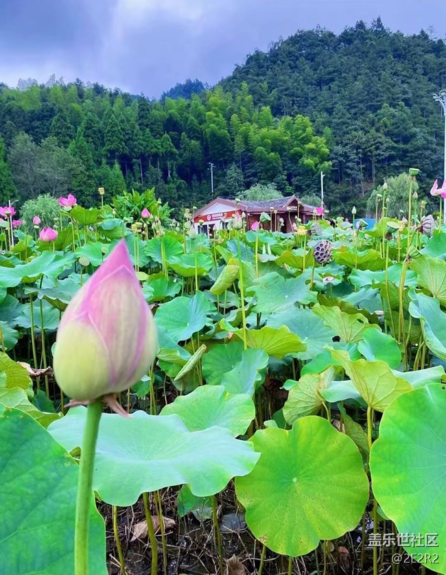 【Galaxy影像】第一期+荷末