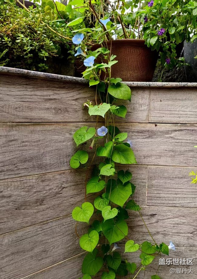 【Galaxy影像】第一期+牽?；? title=