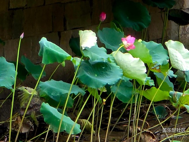 【蟠龍?zhí)斓刂星锞€下攝影活動(dòng)】+三星手機(jī)攝影