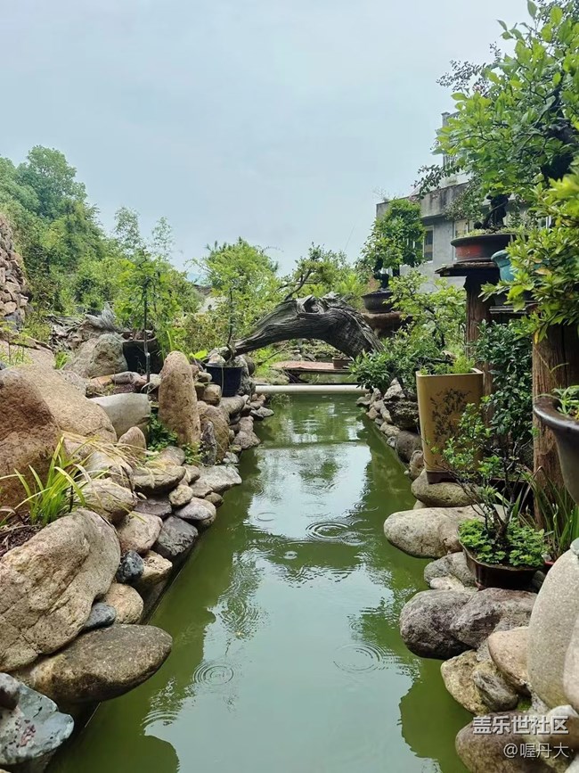 【金色秋天】秋季園林