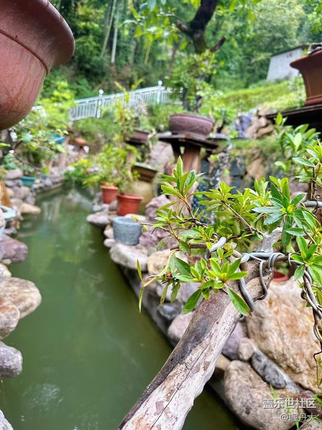 【金色秋天】秋季園林