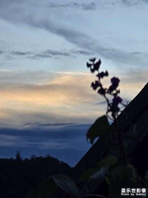 【金九銀十迎雙節(jié)】中秋隨手拍