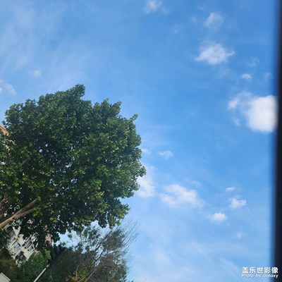 中秋故事 隨手記錄