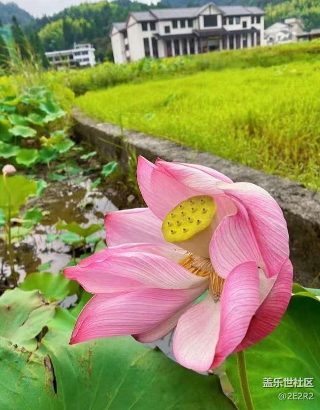 【Galaxy影像】第一期+荷末