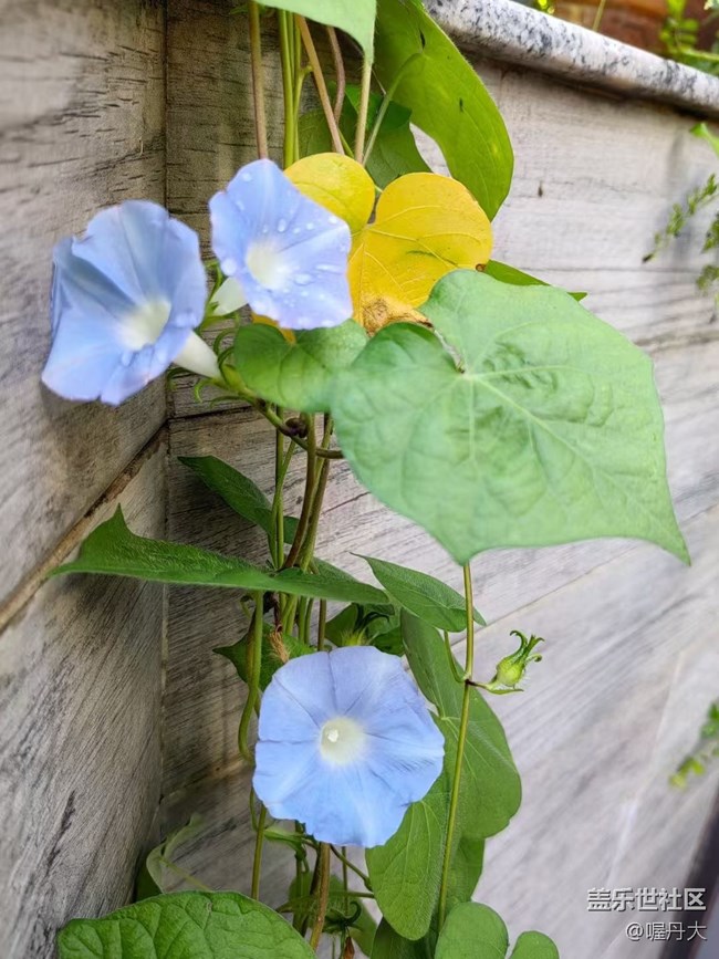 【Galaxy影像】第一期+牽?；? title=