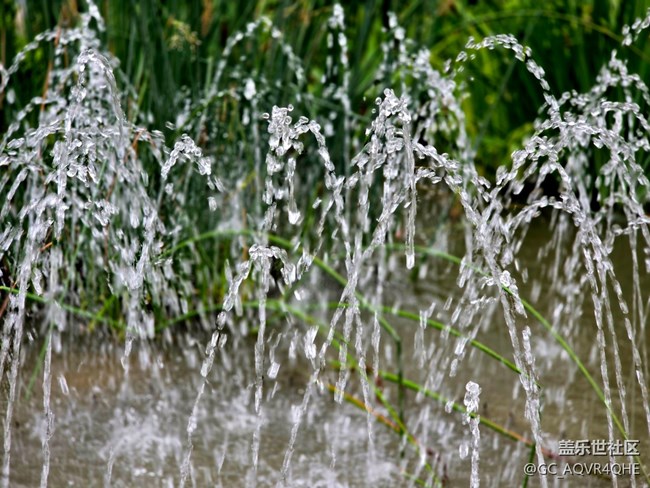 【蟠龍?zhí)斓刂星锞€下攝影活動(dòng)】+活動(dòng)回顧