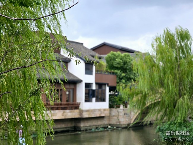 #遠近皆宜——過中秋