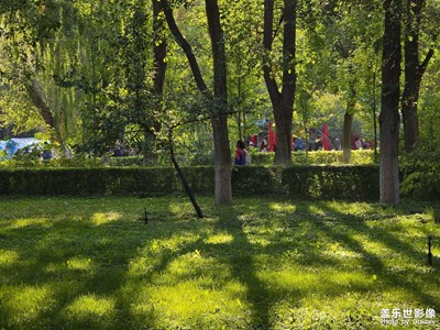 【中秋故事】+中秋節(jié)小景拍攝